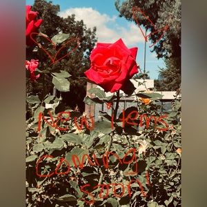 Bunch of new items coming soon! Dresses. Bags. Michael Kors. Vintage Coach!